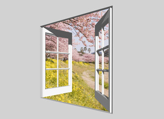 窓から下賀茂の河津桜
