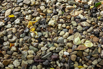 pebbles and stones