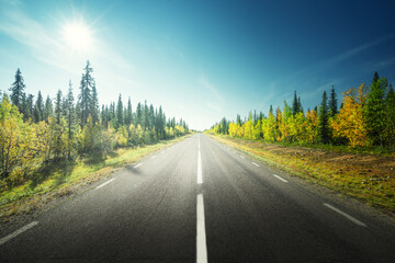 Road in autumn forest, Sweden