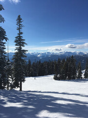 Fototapeta premium Winter landscape scene at a ski resort, with skiers and snowboarders on a run framed by pine trees