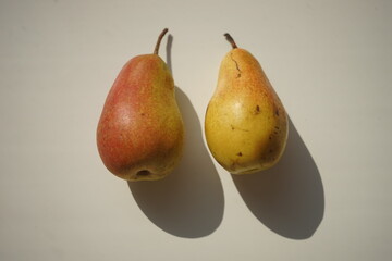 Two shabby yellow pears on a white sunny table.