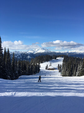 Vertical view of a snowboarder on the slopes of Whistler on a sunny winter day