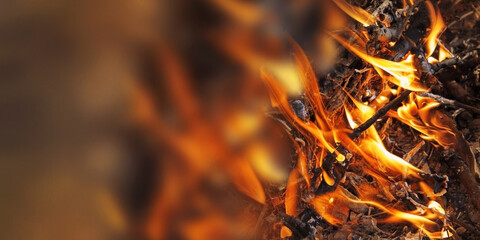 Fire, forest fires, danger. Background for banner, poster, web site. Blurred abstract background, selective focus