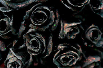 Beautiful black roses. Natural flower background. Texture of delicate petals.