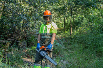 forest worker working in the forest with chainsaw