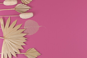 Dried exotic plants like palm leaf, luffa and skeleton leaf on right side of pink background with empty copy space