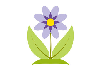 Flor de pétalos morados en fondo blanco.