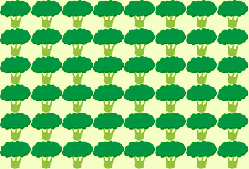 Brócoli verde en un fondo blanco.