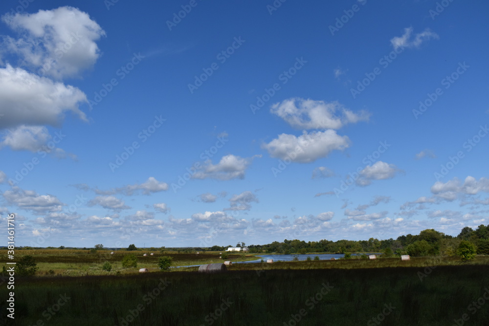 Wall mural fall field