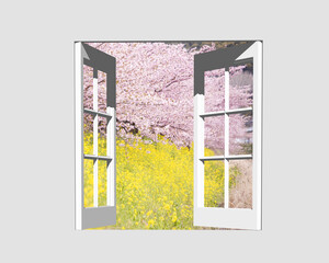 窓から河津桜