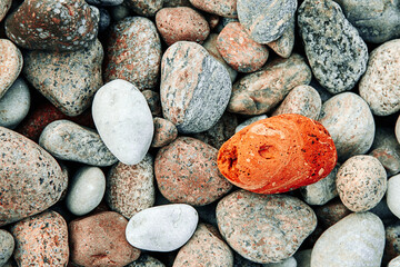 Colorful wet different color sea stones background.