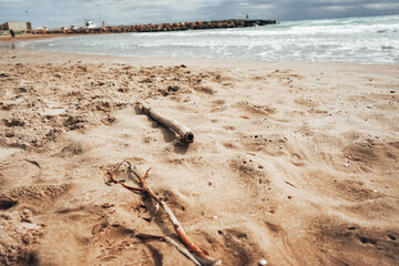 Amazing close up of sand and wood in Mar Mediterráneo
