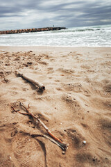 Amazing close up of sand and wood in Mar Mediterráneo