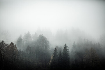Fototapeta na wymiar Herbstmorgen in den Bergen