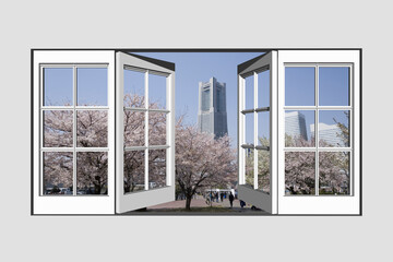 窓からみなとみらいの桜