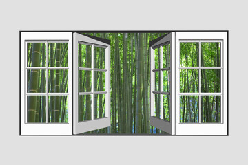 窓から竹林