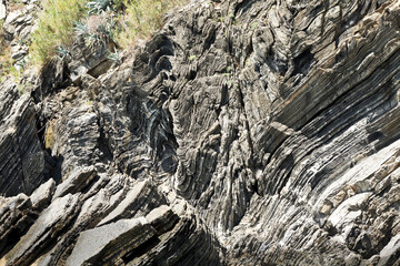 Fototapeta na wymiar sharp rock layers at the coast of liguria in cinque terre north italy. Stone Texture background wallpaper