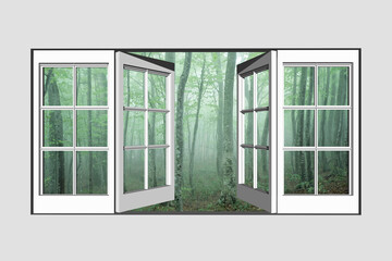 窓から新緑のブナ林