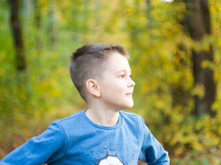 beautiful boy in a blue sweater in the Park. walking is the health of children. happiness.