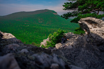landscape in the mountains