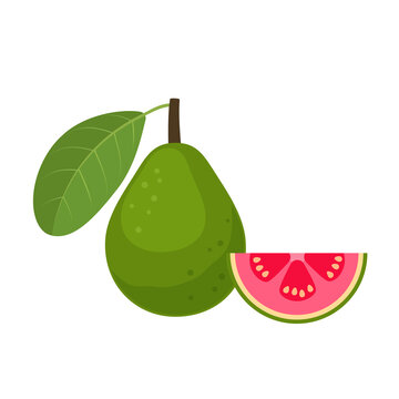 green guava fruit and slice clip art preview