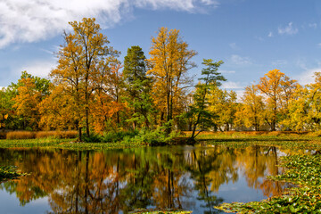 Fototapeta na wymiar Beautiful autumn landscape. Yellow trees and blue sky reflected in calm water. Autumn park in the sunny day. Europe.