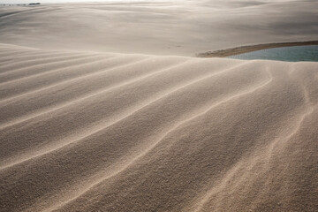 sand dunes in the desert