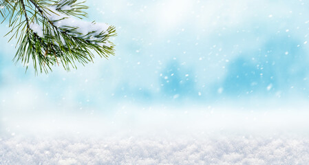 Winter Christmas and New Year background with spruce branch during snowfall, copy space