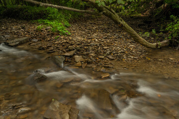 Udava river in national park Poloniny in summer monring near Osadne village