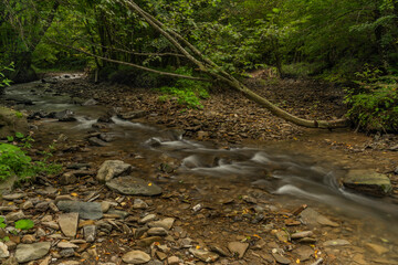 Udava river in national park Poloniny in summer monring near Osadne village