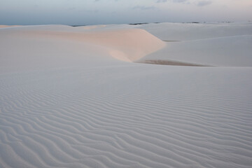 sand dunes in the desert