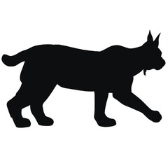 Bobcat black silhouette. Lynx illustration 