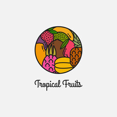 Fototapeta premium Tropical fruits linear logo on white background