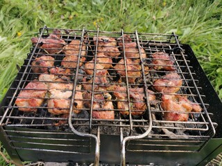 barbecue on the grill close-up on a small grill, selective focus