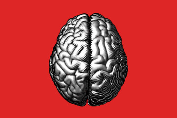 Monochrome engraving brain isolated on red BG