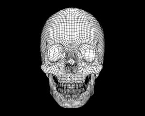 Wireframe skull drawing isolated on dark BG