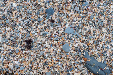 Barricane Beach coastline, woolacombe, Devon