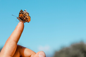 Orange butterfly on hand with a blue sky at the background 