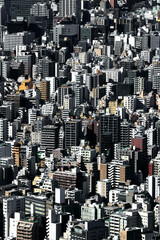 Cityscape of old town Tokyo where various large and small apartments are overcrowded