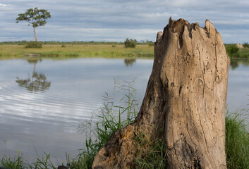 Savuti Marsh, Chobe National Park, Botswana