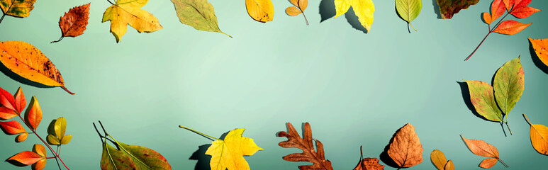 Colorful autumn leaves overhead view - flat lay