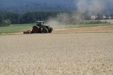 Traktor mäht Getreide auf dem Feld
