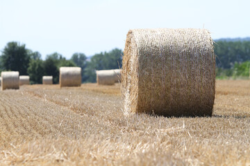 Strohballen auf dem Feld