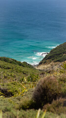 Cape Reinga 