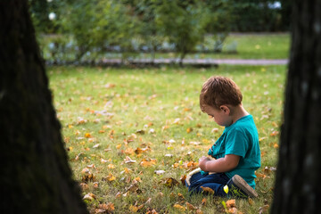 A small child in the Park, among the trees. The child is sitting on the lawn, near the fallen leaves.
