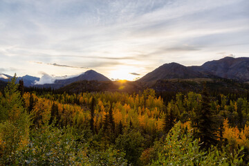 Beautiful View of Colourful Fall Forest and Mountains at Sunrise in Canadian Nature. Tombstone Territorial Park, Yukon, Canada.