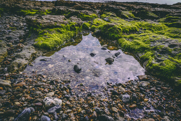 Morning Rockpool