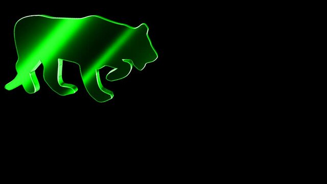 Animals 091