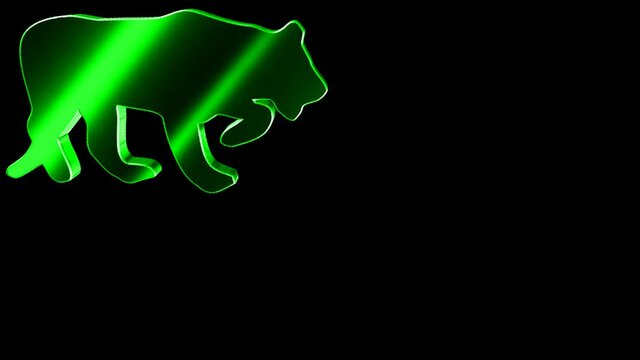 Animals 095