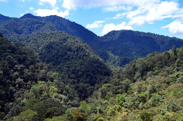 Fototapeta na wymiar Ecuador - Mindo Tarabita Mountain Vista